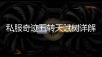 私服奇迹五转天赋树详解如何打造PVP与PVE双修角色