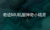 奇迹MU私服神奇小精灵你最喜欢哪个宠物