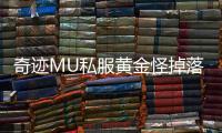 奇迹MU私服黄金怪掉落分析与刷法建议