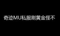 奇迹MU私服刷黄金怪不为人知的技巧
