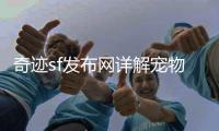 奇迹sf发布网详解宠物系统培养最强战斗伙伴